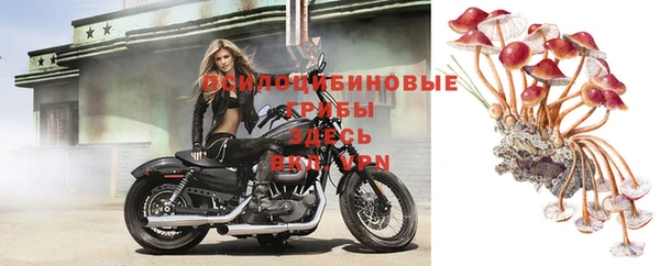 СК Новокубанск