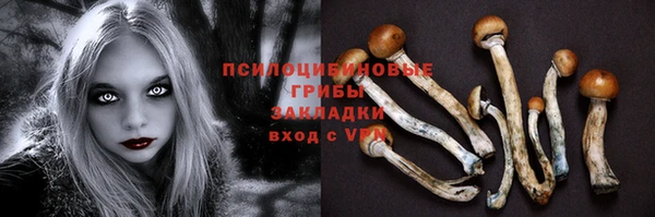 СК Новокубанск