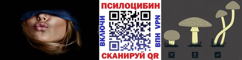 хочу наркоту  Чёрмоз  блэк спрут как войти  Псилоцибиновые грибы Cubensis 