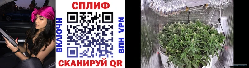 Каннабис индика Чёрмоз